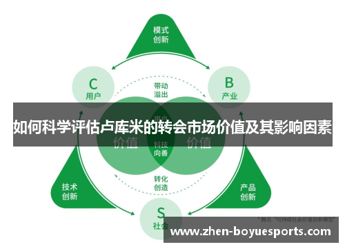 如何科学评估卢库米的转会市场价值及其影响因素