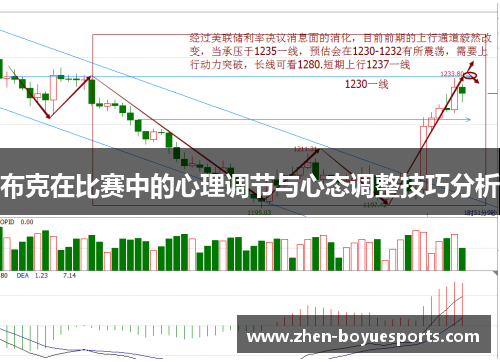 布克在比赛中的心理调节与心态调整技巧分析
