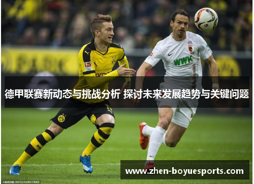 德甲联赛新动态与挑战分析 探讨未来发展趋势与关键问题