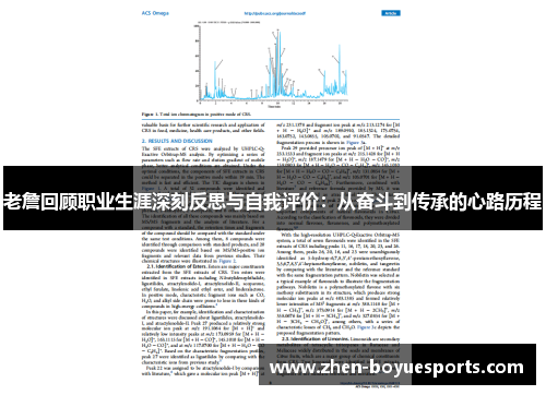 老詹回顾职业生涯深刻反思与自我评价：从奋斗到传承的心路历程