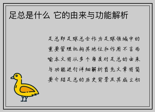足总是什么 它的由来与功能解析 足总是什么 它的由来与功能解析